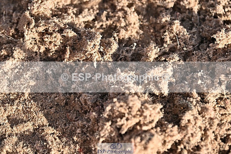 241120X-124024-00449 - Cls 04A&B Snr Newc & 110 Open