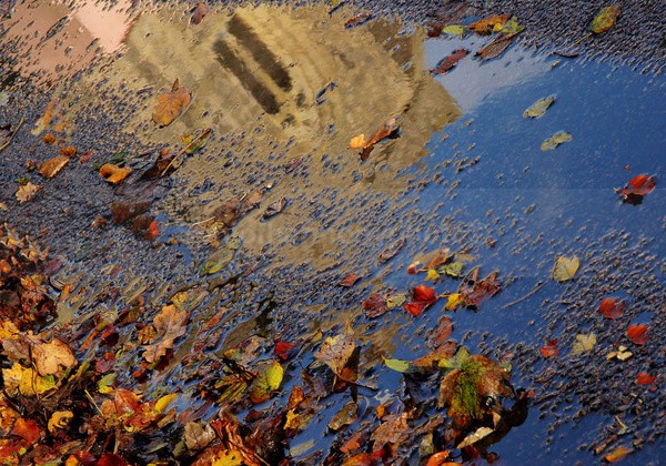 Art and Nature , Demeter Walks - Art And Nature