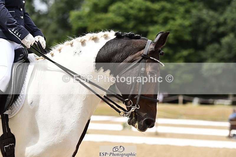 140110A-005852-10794 - 015-Lauren.Picknett-Bonnie.V