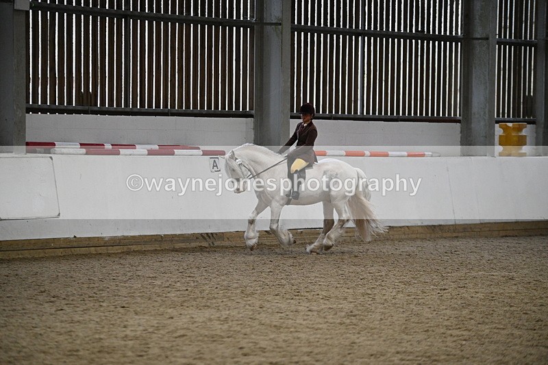 WJ7_3673 - Class 16 Ridden Coloured/ Odd Coloured