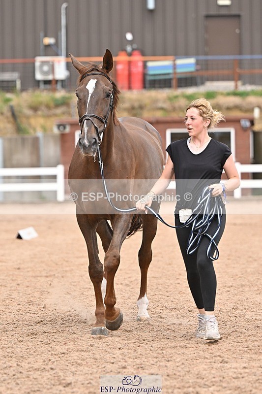 250716-162009-02579 - Trot Up 3.30 to 4.30