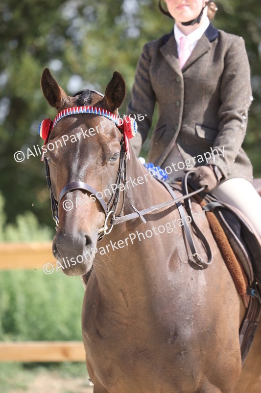 20260802-0748 - Class 8 - Best Riding Horse or Pony