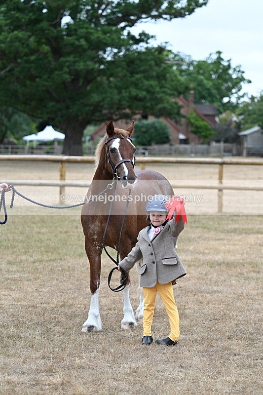 WJ7_8584 - Class 4 Prettiest Mare up to 14.2hh