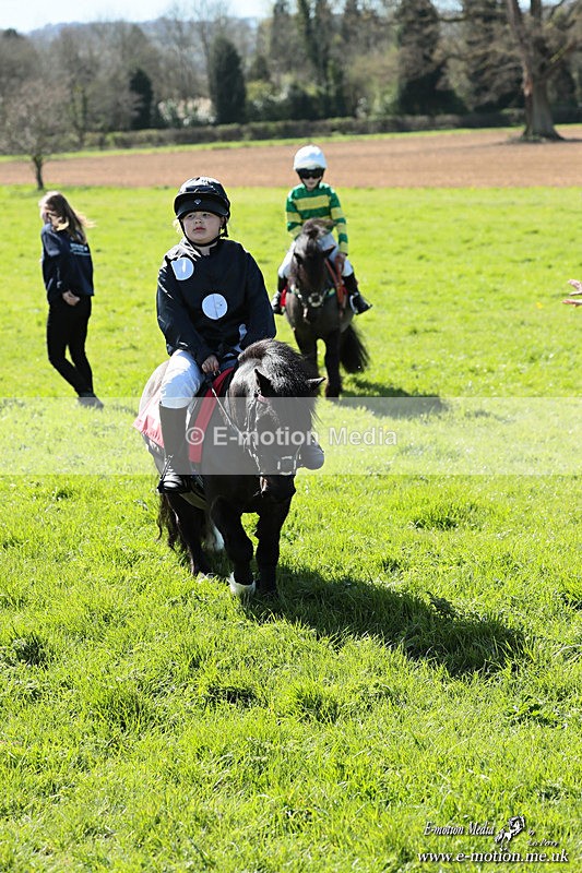 Shet 060426 365 - Shetland Pony Racing Paxford Races Easter Mon 06/04/26