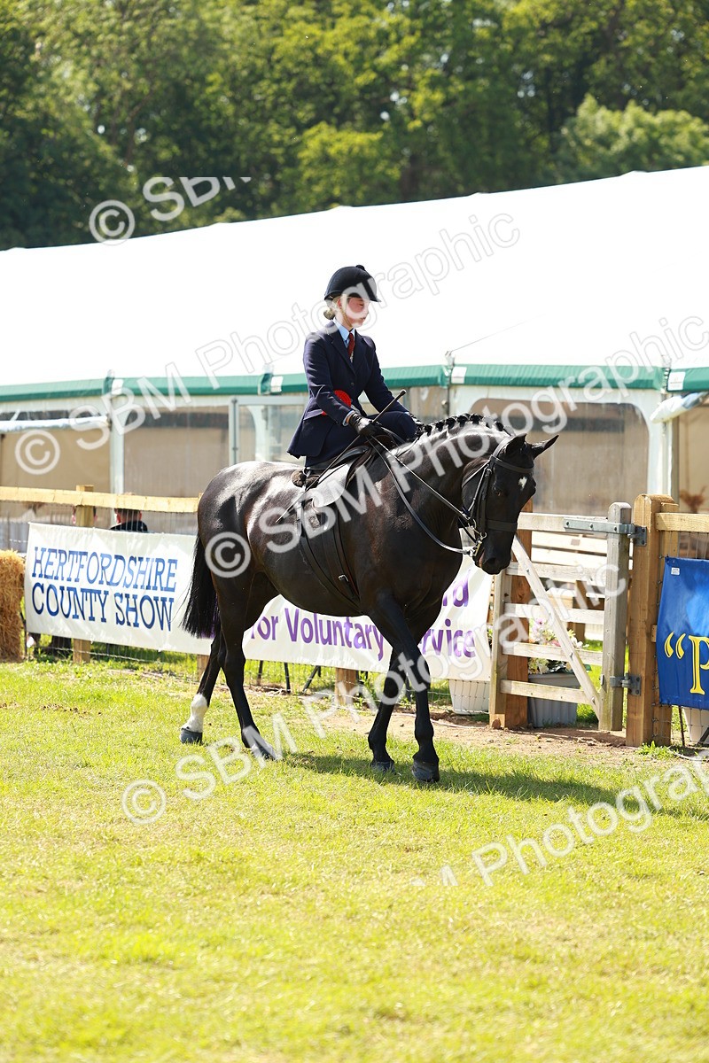 SBM_13432 - Class 70-71 - Side Saddle
