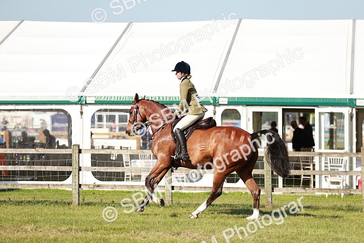 SBM_19247 - Class 115-116 - LIHS BSHA Rising Star Working Hunter & Show Horse