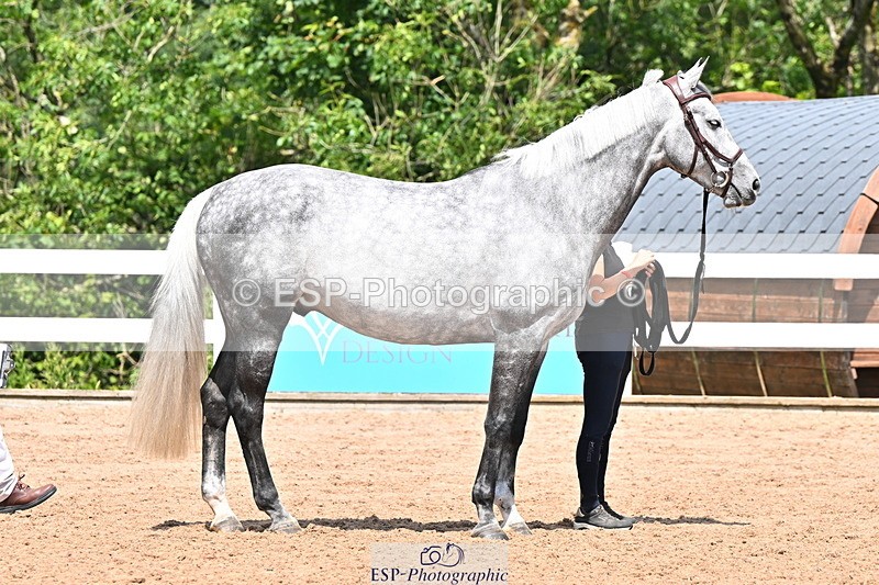 240718A-105310-01653 - Trot Up 1pm to 2pm