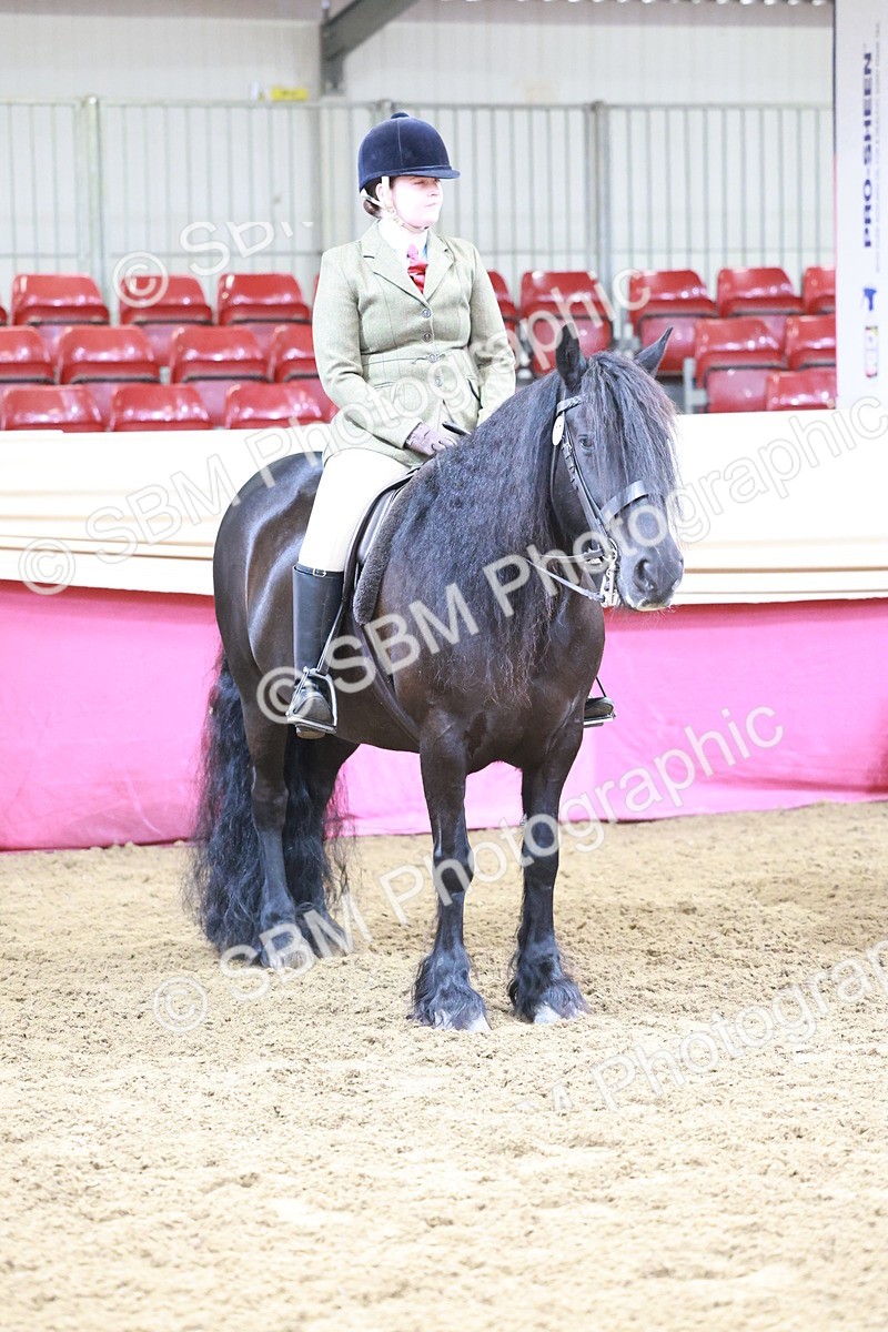 SBM_11888 - Class 102 - Equitation (Best Rider) Adult