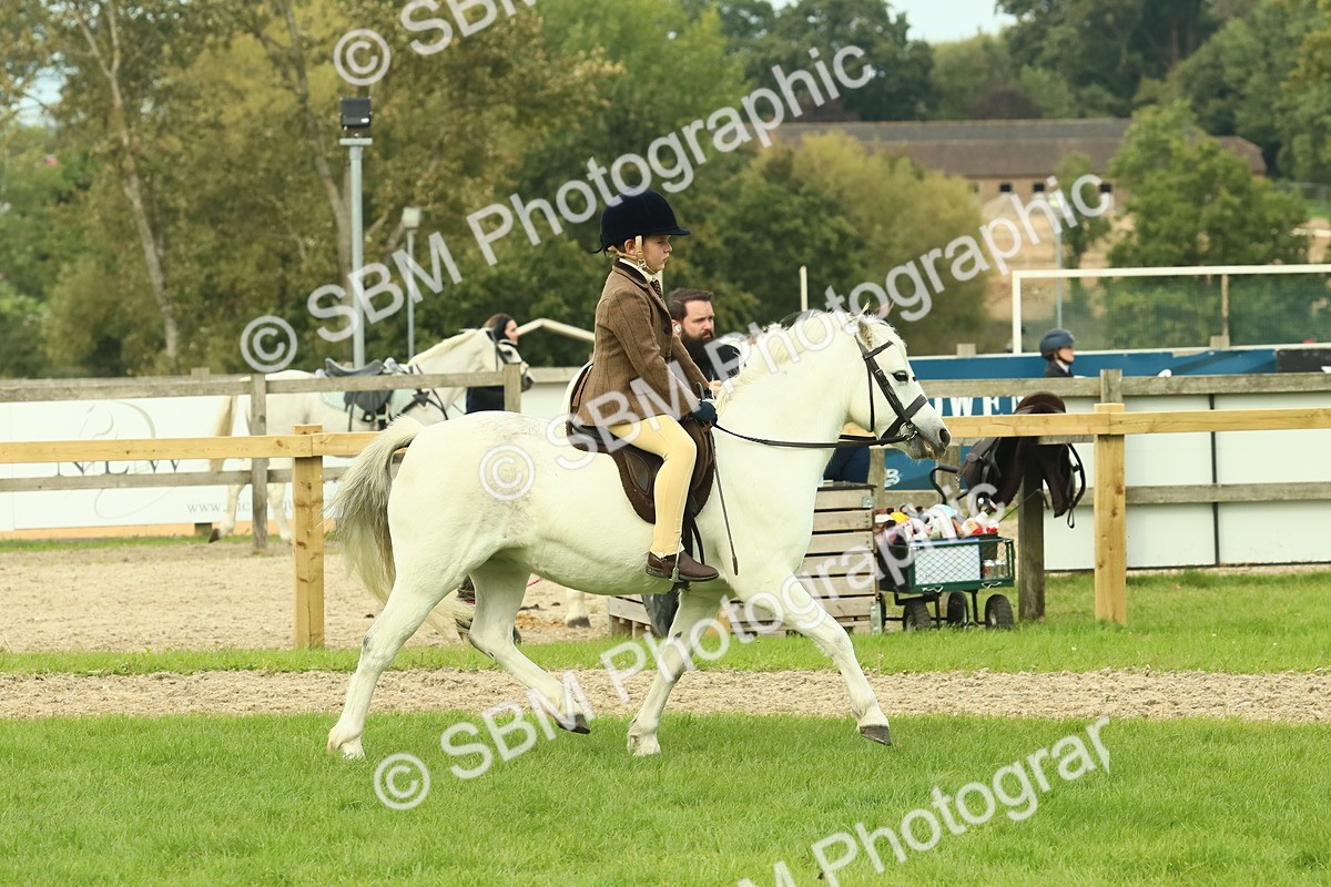 SBM_69928 - S59 - Mountain & Moorland Ridden Small Breeds
