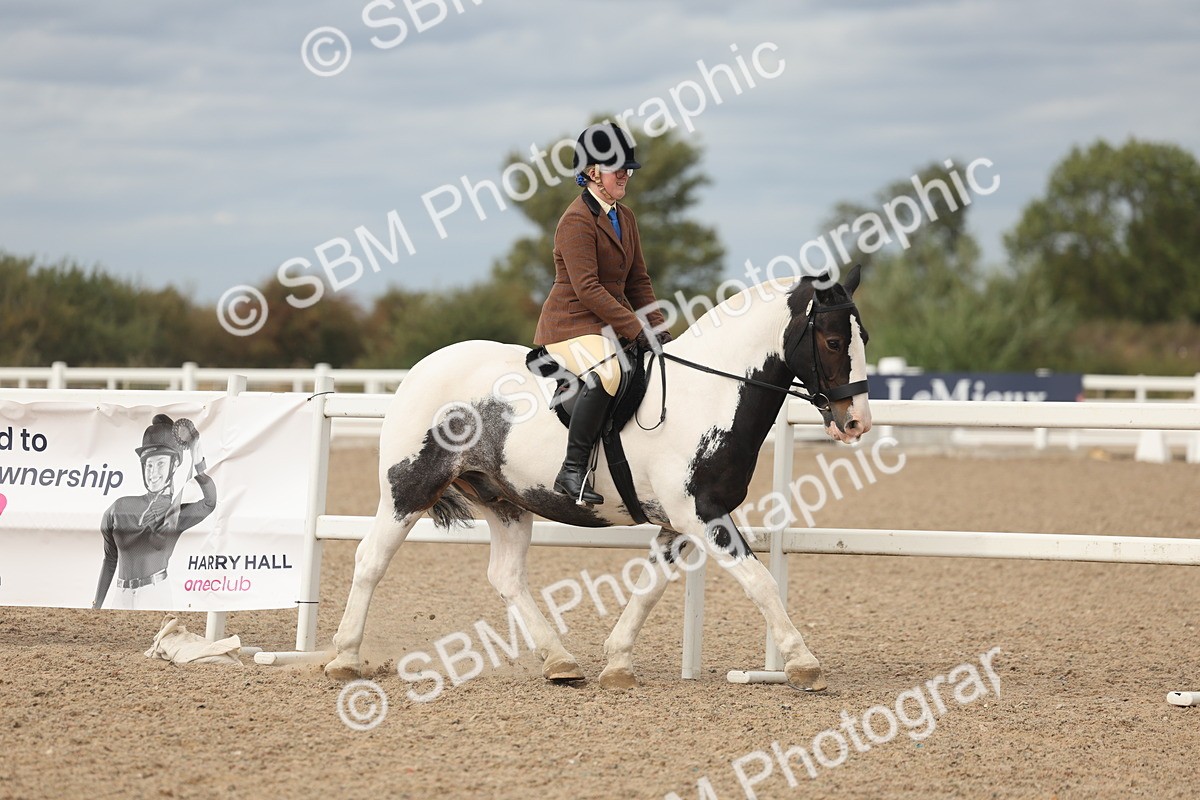 SBM_17984 - Class 314 - Family Horse Pony