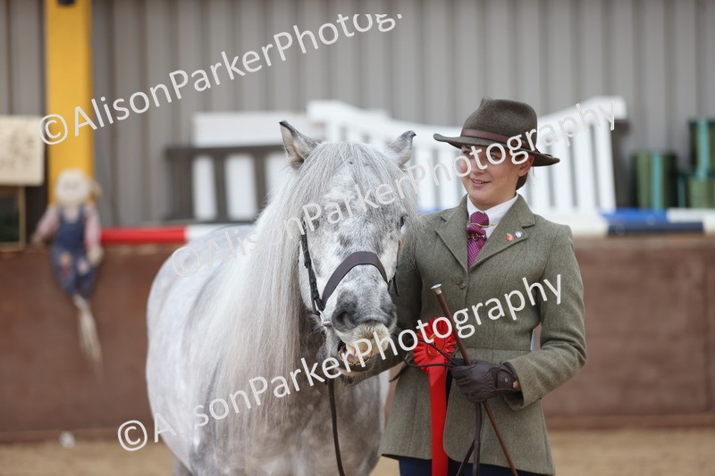 20251109-1051 - Class 28 - Mares 4 Years and over