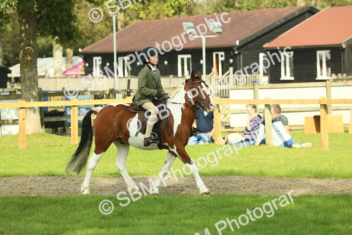 SBM_68928 - S58 - Mini Show Cob Ridden