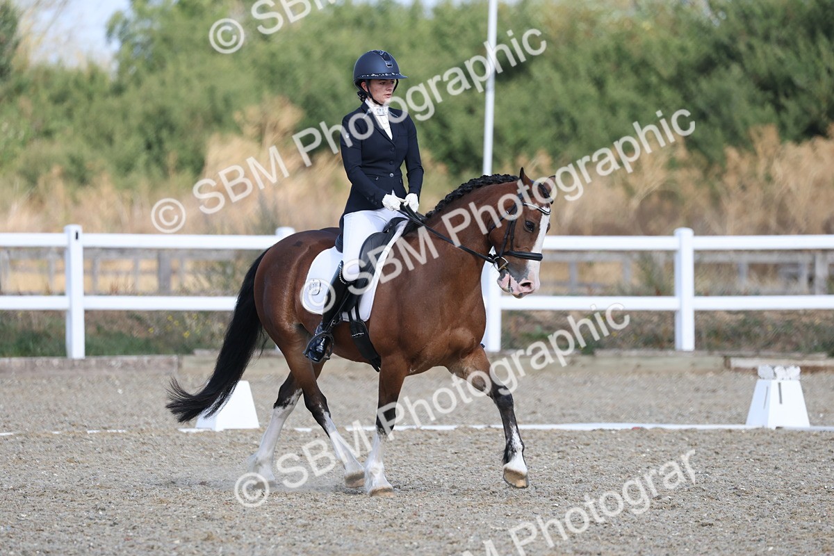 SBM_020275 - Class 21 - M5 Bronze 9.30.10.34