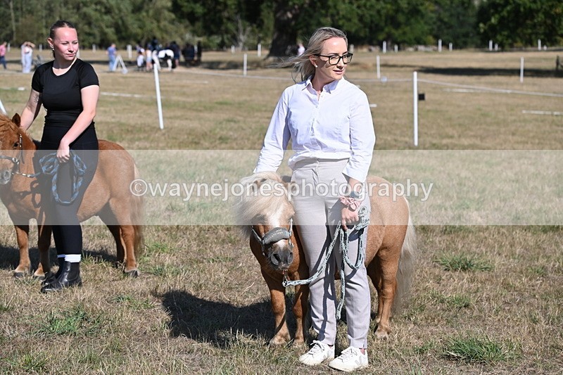 WJ6_7334 - Class 33 Rescue Pony