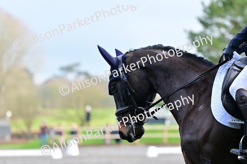 20260125-3923 - Class 12 - Novice