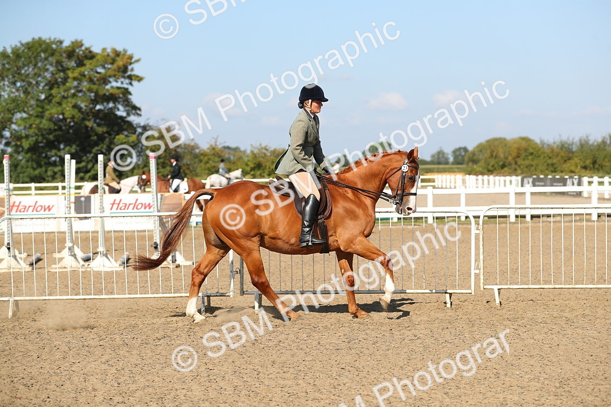 SBM_02222 - Class 43 Ridden Competition Horse/Pony