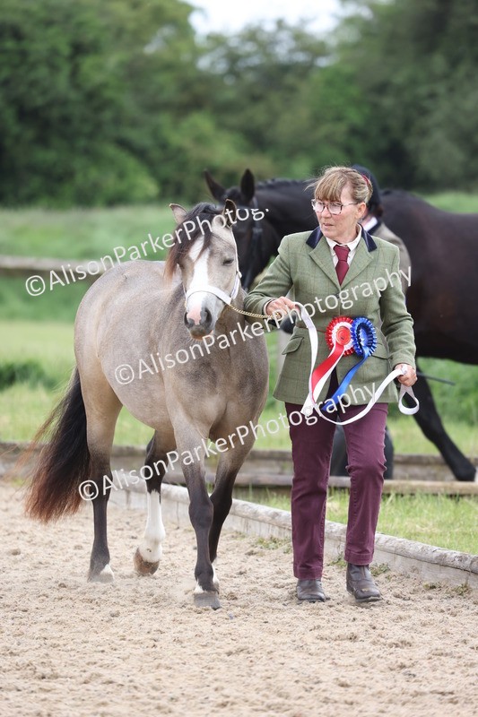 20250524-1069 - Championship