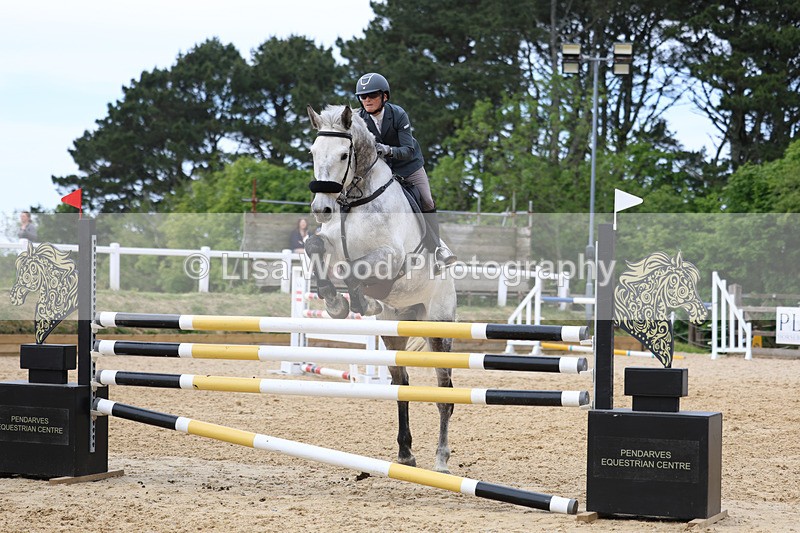 3E7A7546 - Class 8: Senior Foxhunter/1.20 open