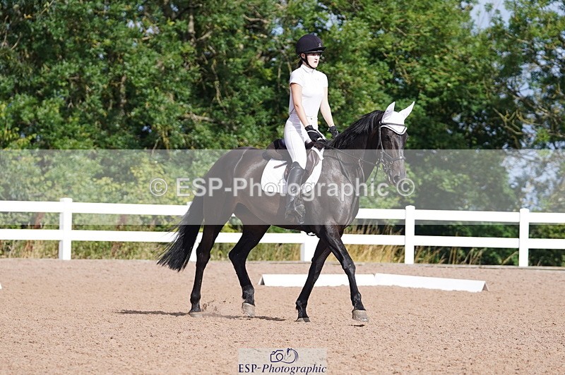 240809A-092458-00227 - Dressage Competition