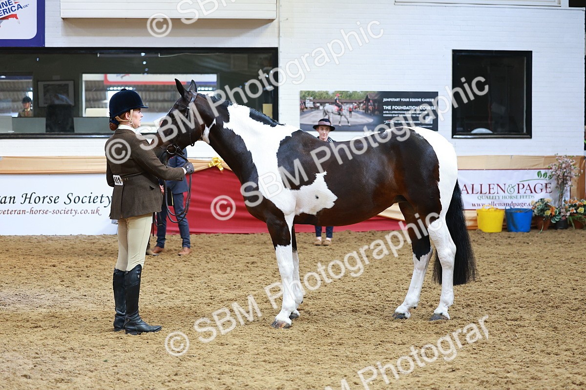 SBM_09805 - Class 102 - HOYS Veteran Qualifier - Ridden Veteran