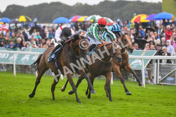 150723-Race 4-Hamish-0429 - Race 4 3.45pm John Smith's Silver Cup Stakes