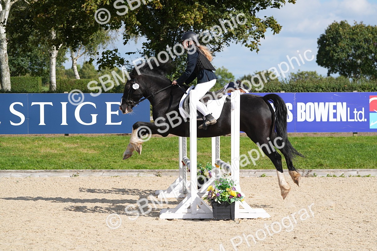 SBM_48553 - J22 - Junior Horse 65cm Championship