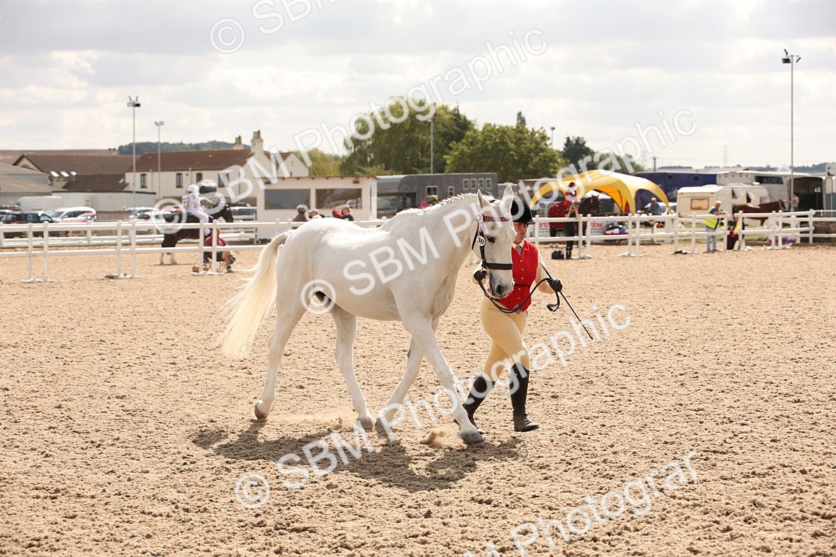 SBM_04617 - Class 20 IH Veteran