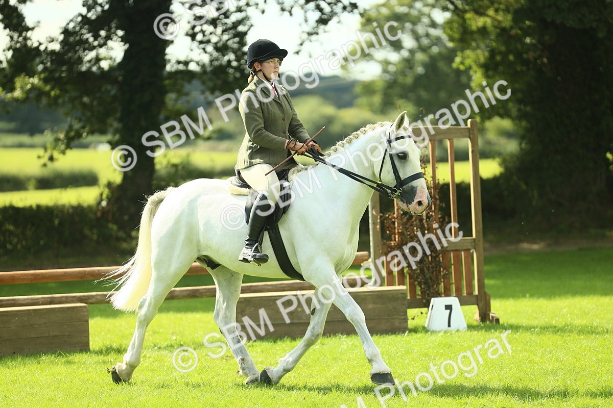 SBM_47927 - S32 - Novice & Newcomers Working Hunter