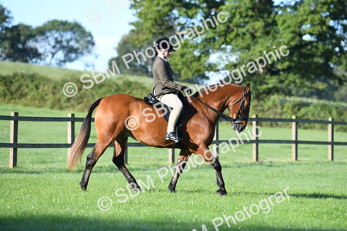 SBM_33963 - S16 - Condition & Turnout - Ridden