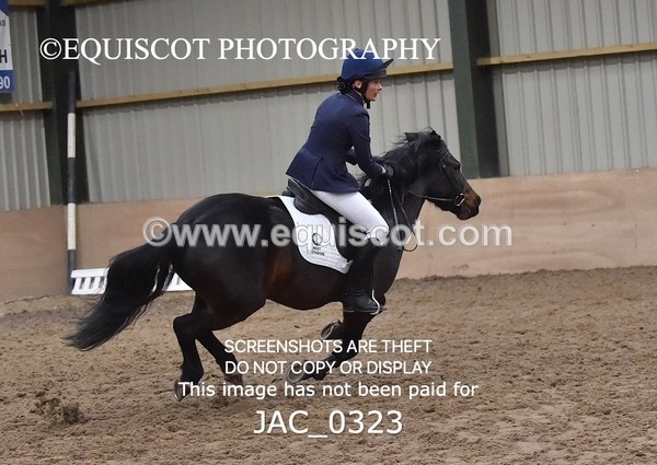 JAC_0323 - CLASS 7 Small Open Show Jumping - (0.80m)