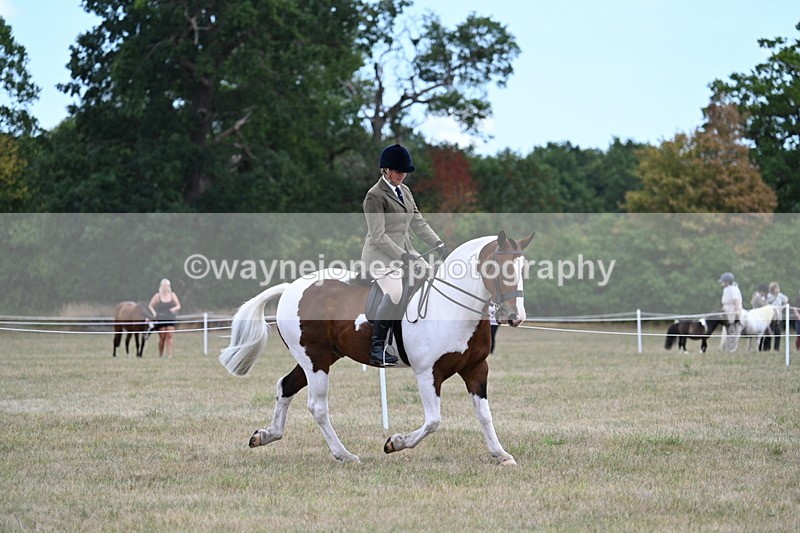 WJ7_5165 - Class 12 Ridden Cob