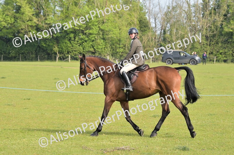 20260426-0885 - Class 18 - Novice Showing