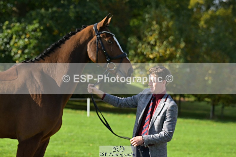 241023-130046-00015 - 013-Cameron.Beer-GREENLANES.LE.BAMBALOU