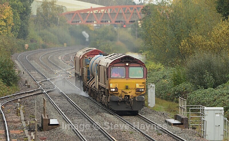 20th Oct 2022 - Norton Fitzwarren (nr. Taunton), Somerset