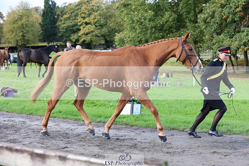 251026A-100137-22675 - D-321-Kirstie.Deakin-Main