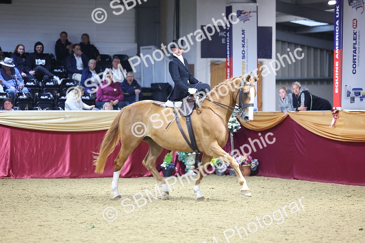 0B8A4233 - Class L Side Saddle Champ