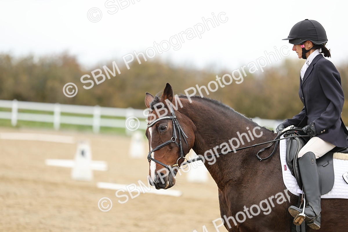 SBM_003798 - Class 9-12 - Novice 2 Elementary 3