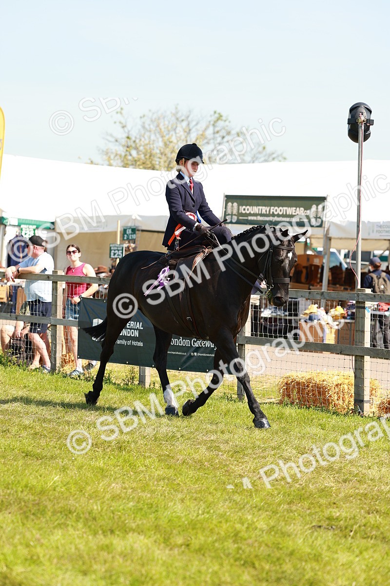 SBM_13288 - Class 70-71 - Side Saddle