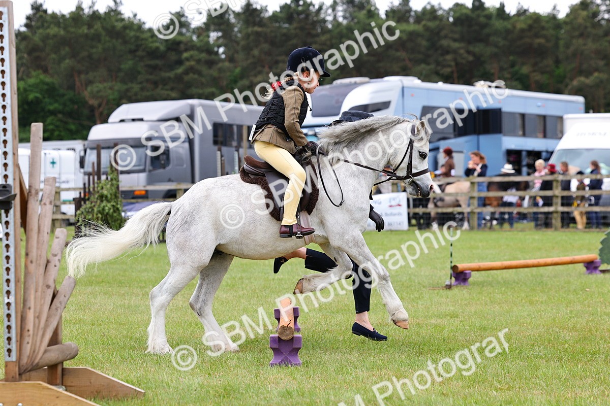 SBM_08212 - Class 42-43 - LIHS BSPS Heritage Working Sports Pony