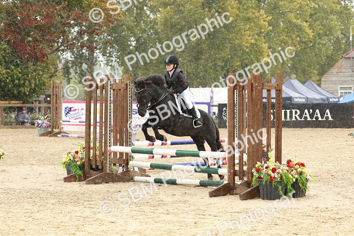 SBM_69333 - J13 - Junior Pony 60cm Championship
