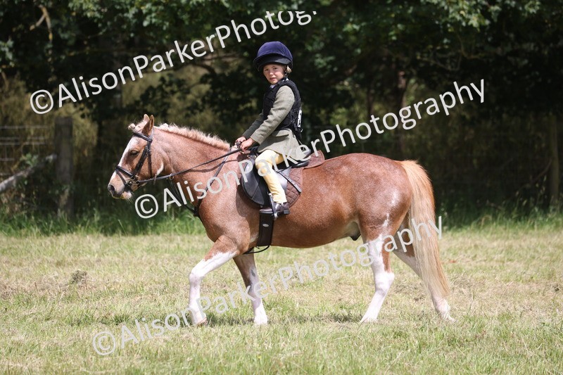 20260614-2134 - Class 21 - Novice Working Hunter Pony