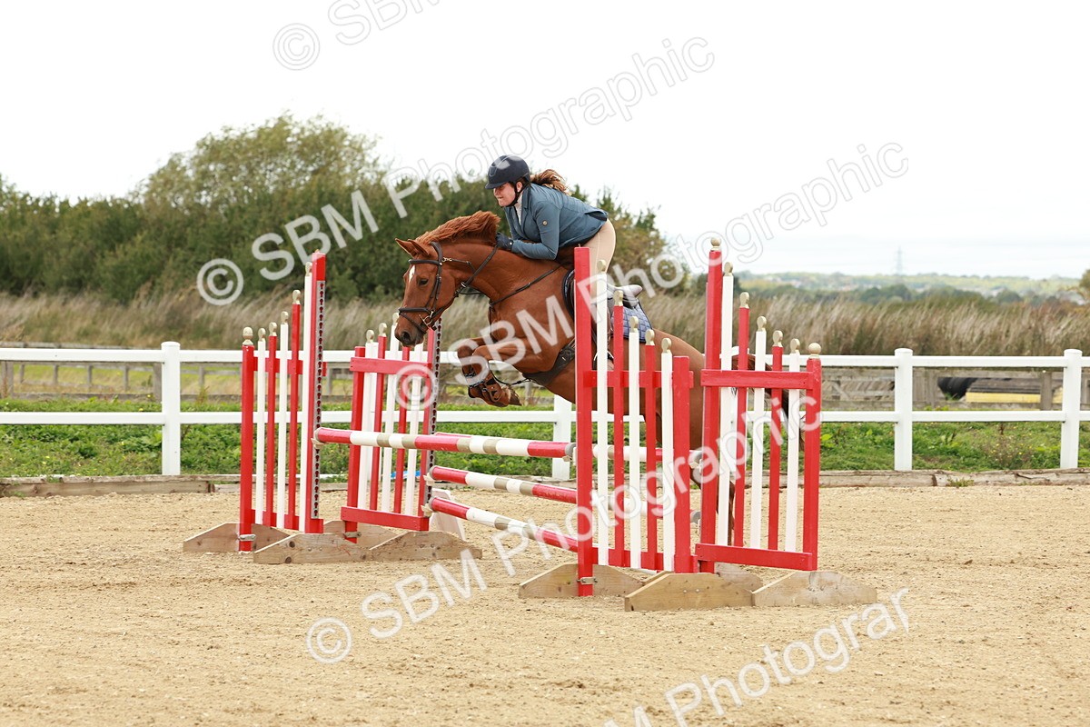 1I0A6708 - Class 2 - Senior British Novice