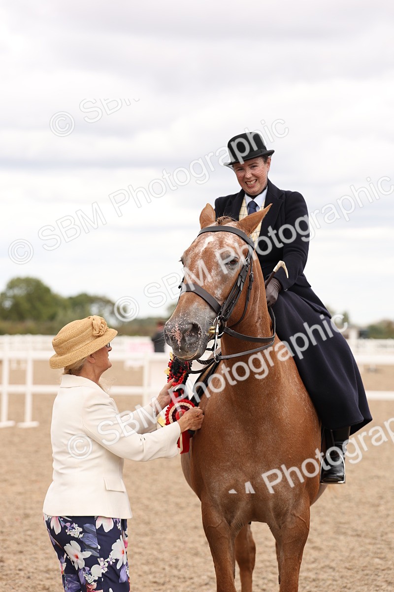 SBM_16440 - Class 211 - Best Side Saddle Horse - Pony