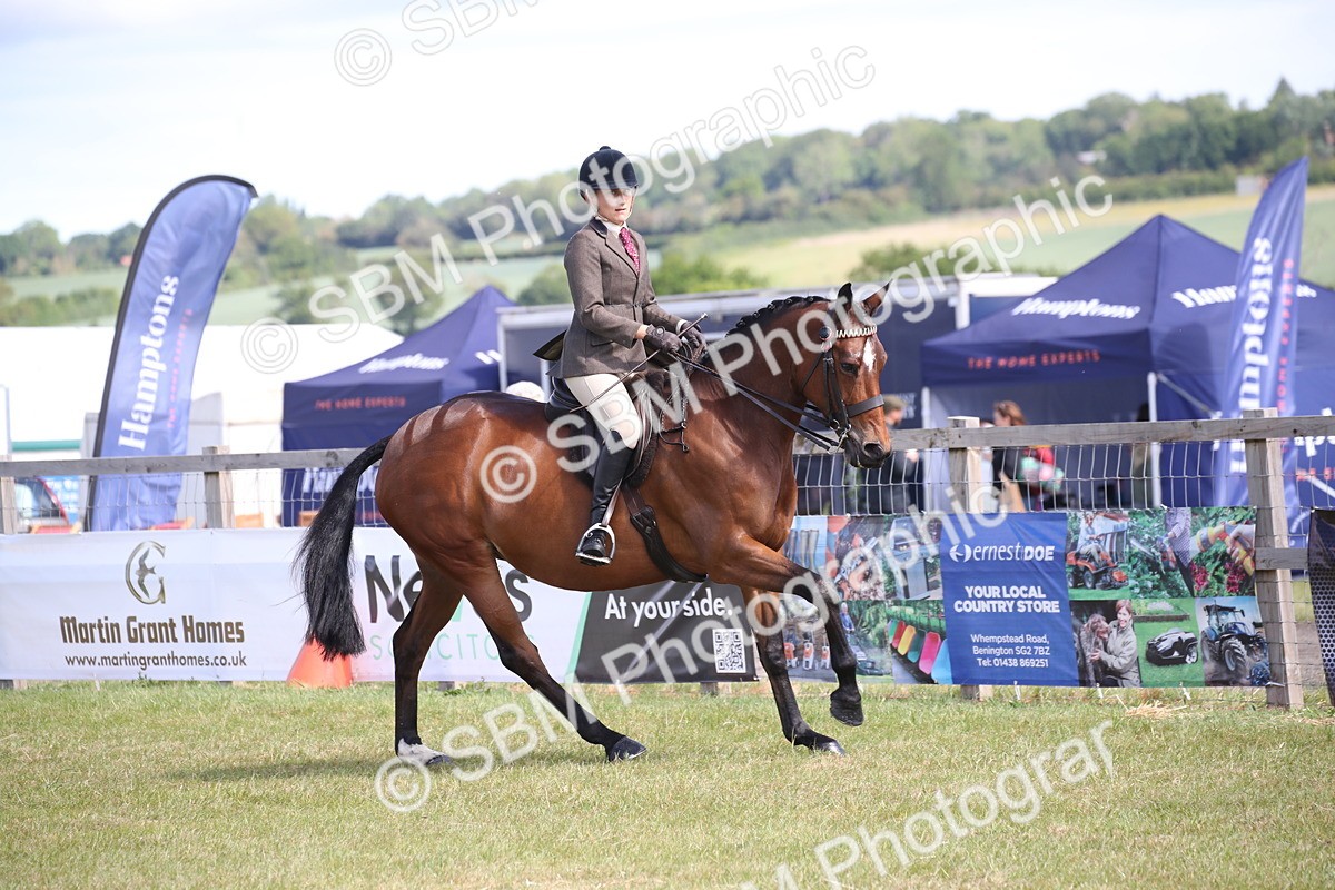 SBM_13316 - Class 95-96 - LIHS BSHA Rising Star Hack Riding Horse