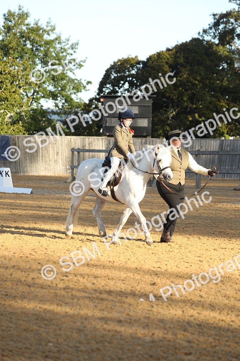 SBM_33585 - D26 - Starers - Lead Rein