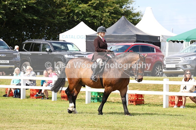 3E7A9634 - Class 5: Rising Star Lightweight/Heavyweight Cobs