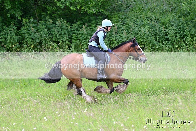 WJ7_8552-001 - Edited examples