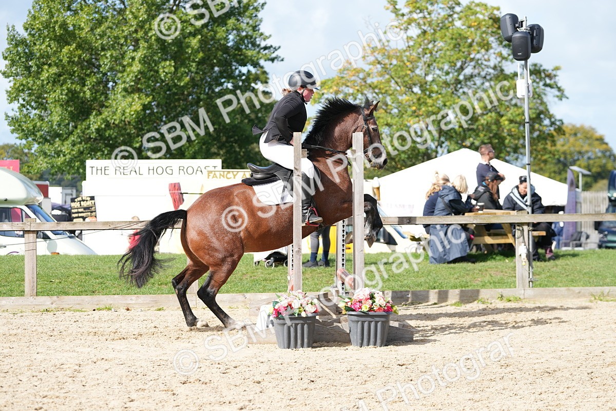 SBM_17765 - J58 - Clear Round 50cm