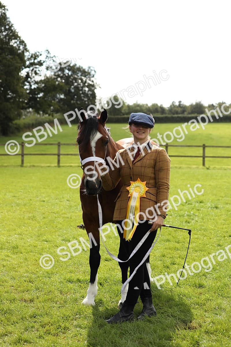 SBM_65534 - S47 - Mountain & Moorland In Hand Large Breeds