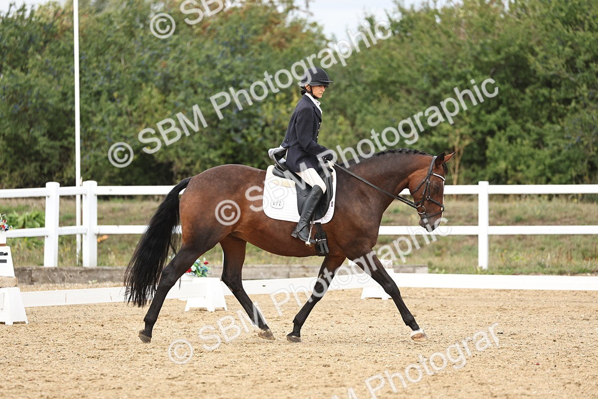 SBM_002685 - Class 7 - Novice 2 Warm Up